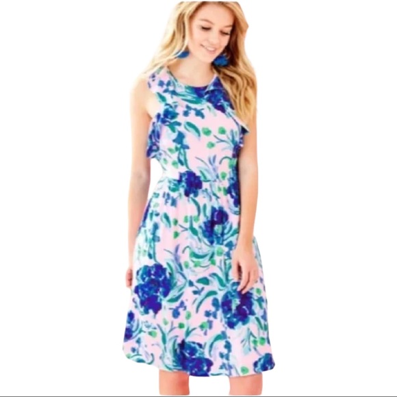 Lilly Pulitzer Rory Dress 4 - Picture 3 of 13